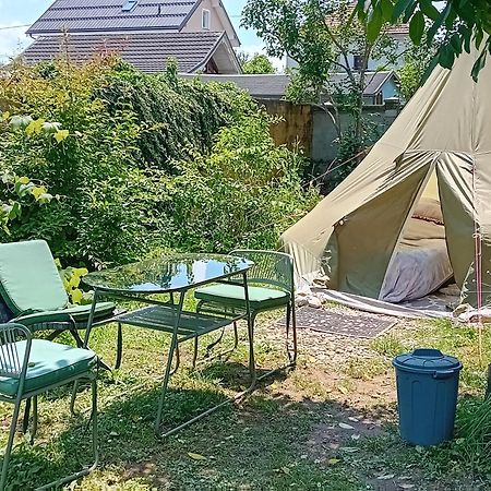 Camping Under The Walnut In Your Own Tent On A Shared Lot And Shared Bathroom リュブリャナ エクステリア 写真