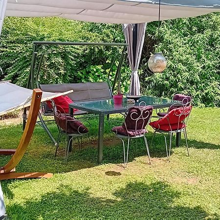 Camping Under The Walnut In Your Own Tent On A Shared Lot And Shared Bathroom リュブリャナ エクステリア 写真
