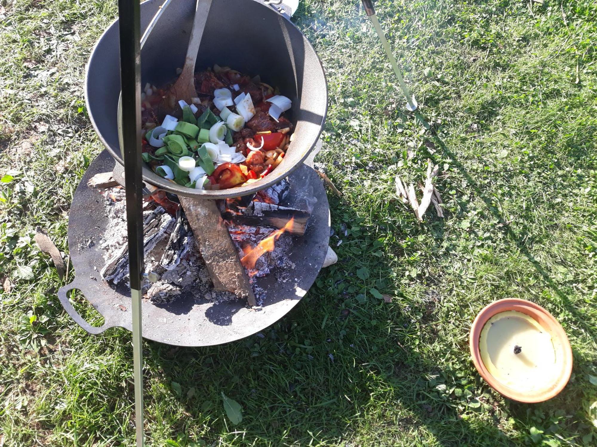 Camping Under The Walnut In Your Own Tent On A Shared Lot And Shared Bathroom リュブリャナ エクステリア 写真