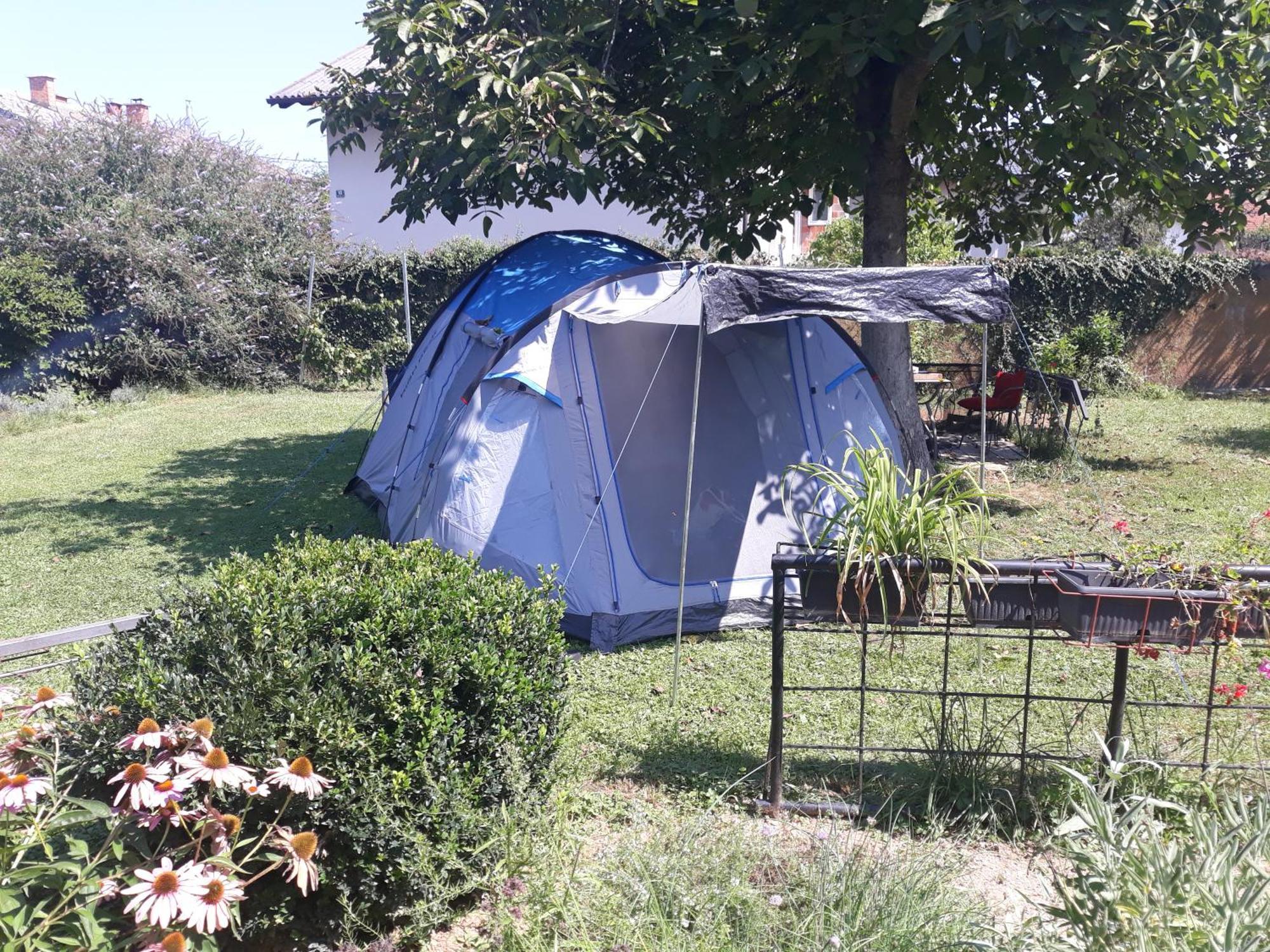 Camping Under The Walnut In Your Own Tent On A Shared Lot And Shared Bathroom リュブリャナ エクステリア 写真
