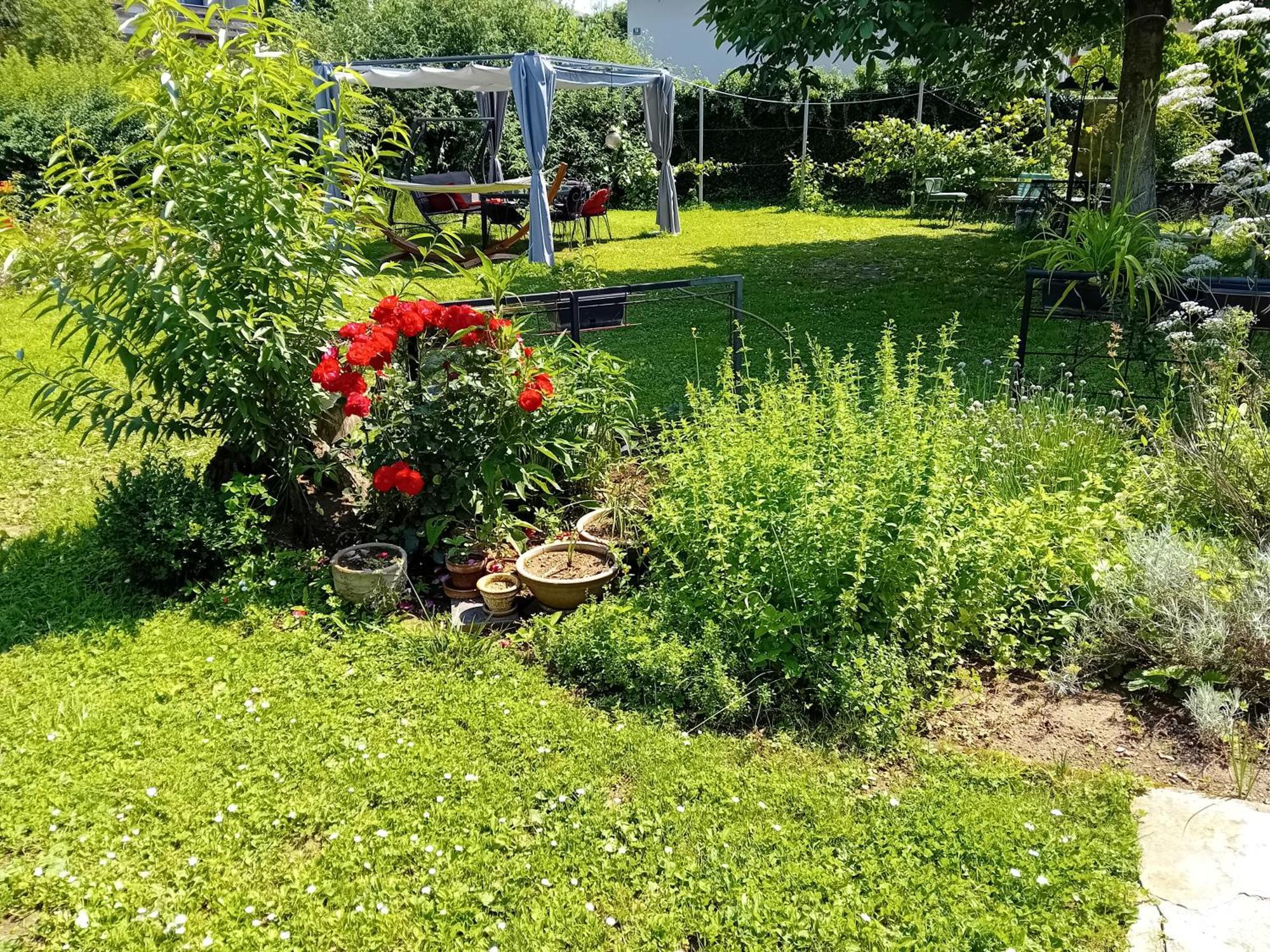 Camping Under The Walnut In Your Own Tent On A Shared Lot And Shared Bathroom リュブリャナ エクステリア 写真